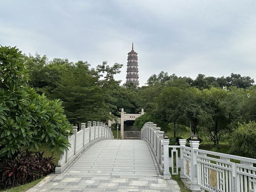 琶洲塔公园门票与游玩攻略｜自助出游最佳指南